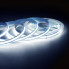 Лента с-д. ip20  COB  528Led 24V 10W/м  6500K (900lm)  Apeyron 00-376