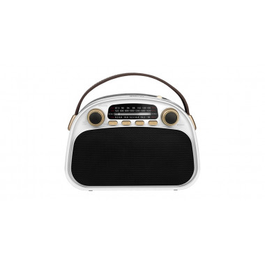 Радиоприемник Ritmix RPR-040 Bluetooth USB/microSD MP3 вход Type-C